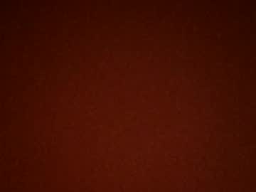 See Tacofall11 online Now @ wank.ch